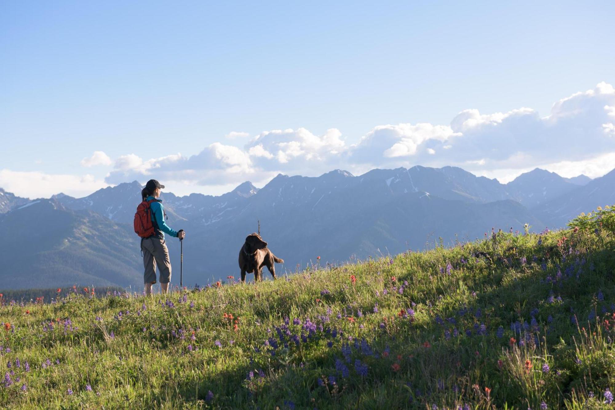 Lift House Lodge, Vail Lionshead Studio Condo, Walk To Gondola 외부 사진