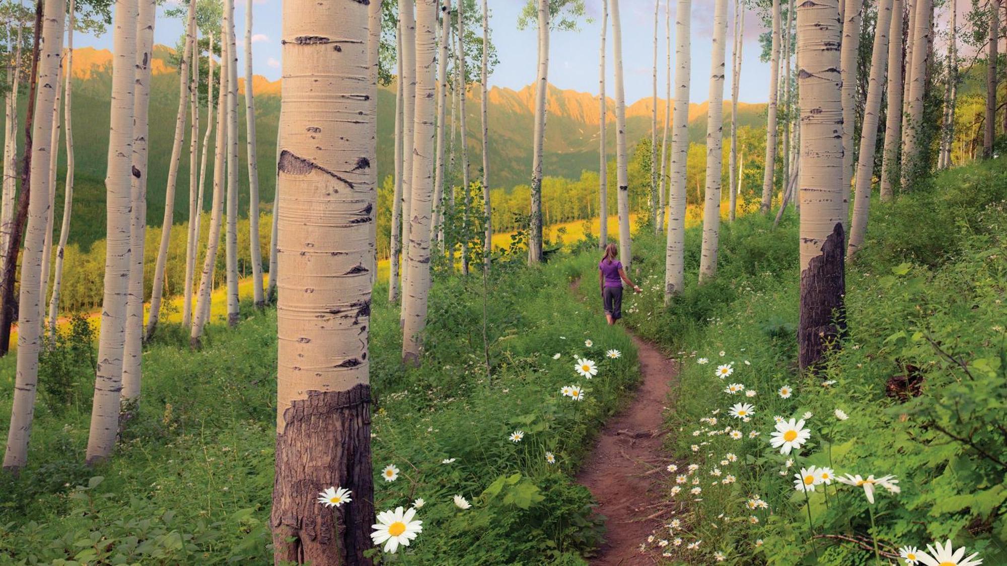 Lift House Lodge, Vail Lionshead Studio Condo, Walk To Gondola 외부 사진